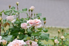 306838B2-1CB1-4907-854D-5E0DE203F730