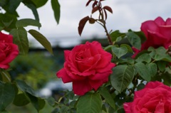 B94E649D-E492-4FD3-A052-052AAF90C8BB