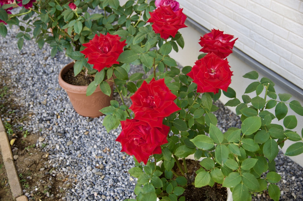 AE216343-AD56-4D04-B836-9A832FAF7999