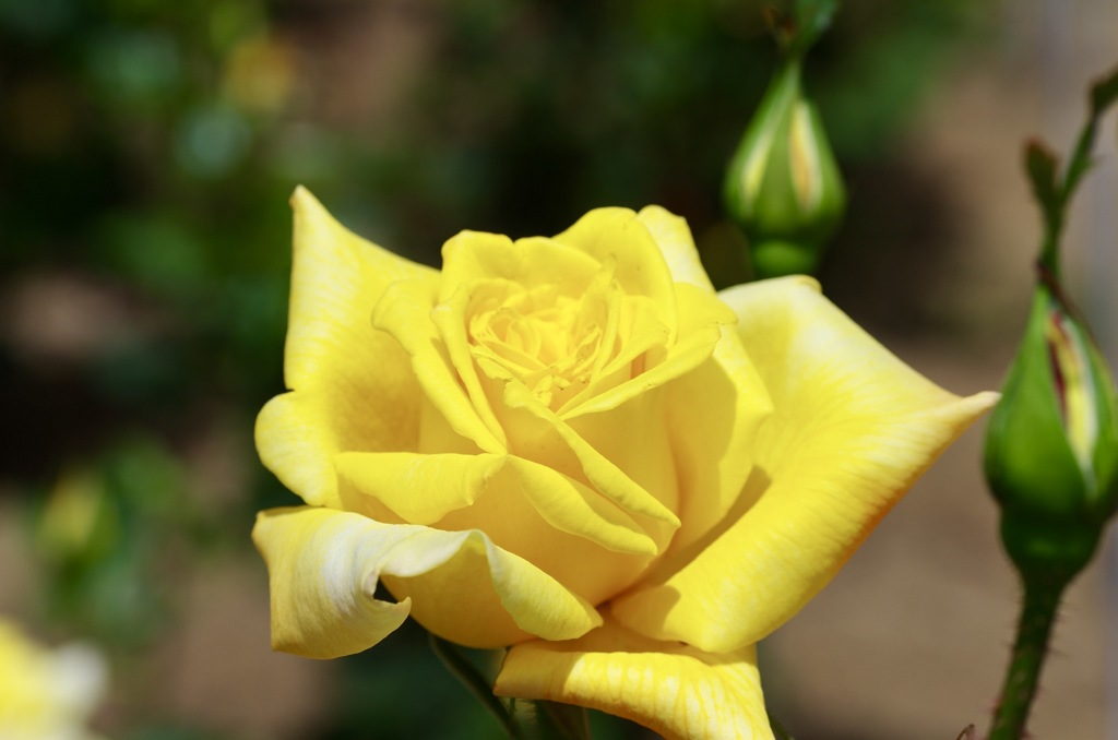 99110815-E0CE-45CC-9AE3-10B3D9CA1ABF