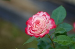 E37AB195-FF1A-4971-BB70-ECC357AFD86D