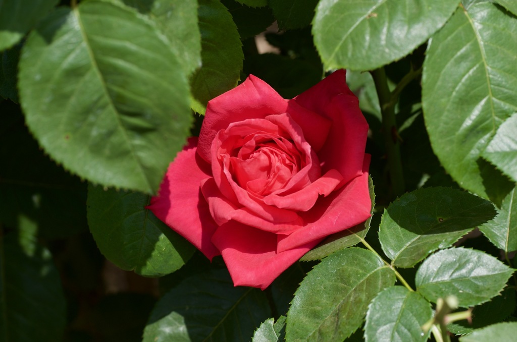 32F415A8-CB31-46CD-9090-EC7877367567