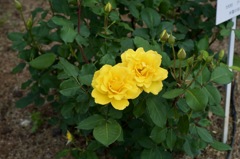 FD5023BA-5850-49F8-B9C1-586A16638767