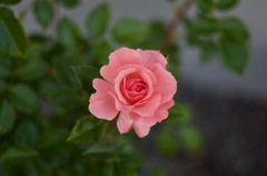 7DAC0BBD-848A-4336-98AE-B27DF22D2320