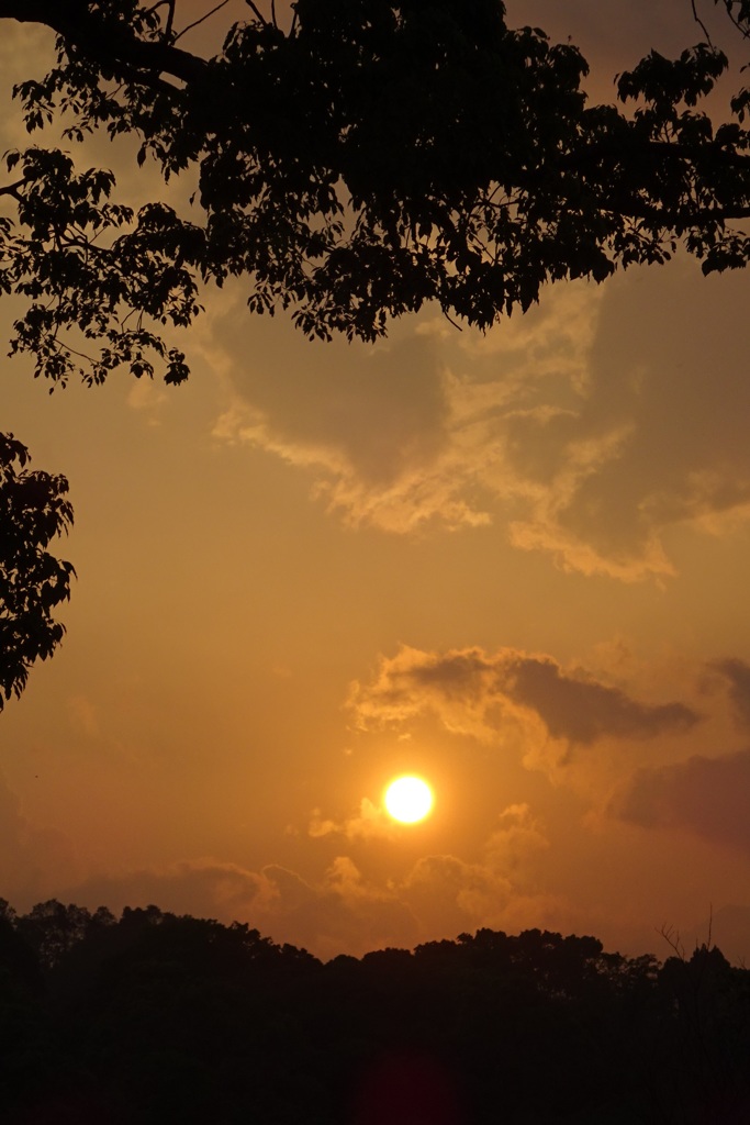 暮れなずむ夕日