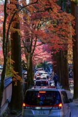 車と紅葉と寺と