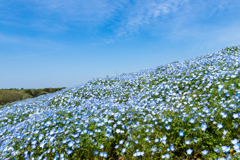 DSC00088