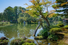 秋の気配の兼六園