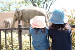 動物園