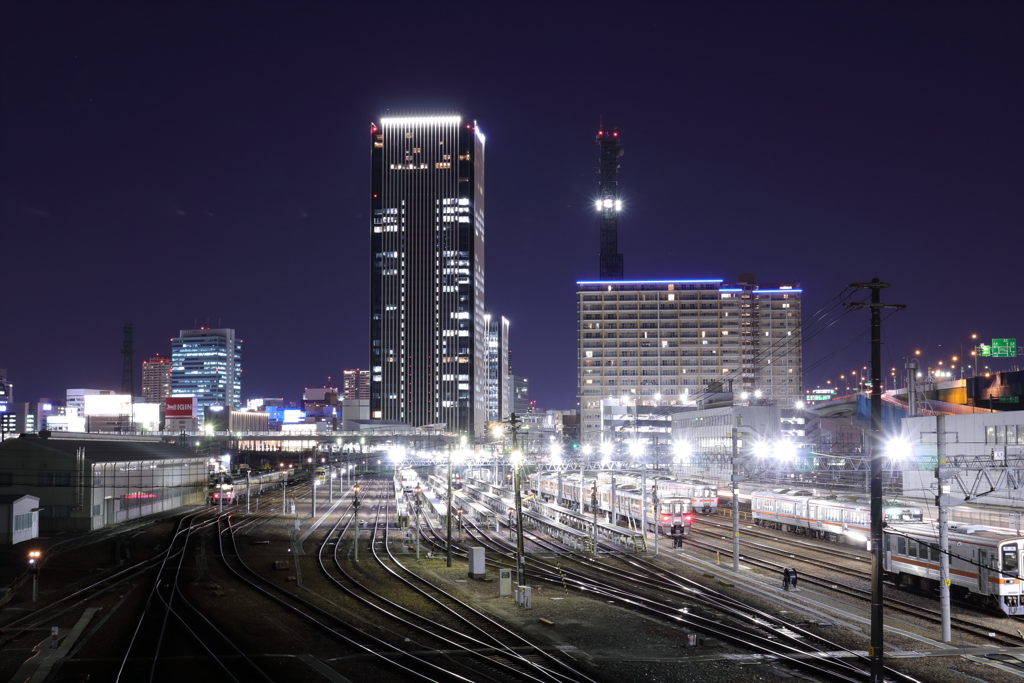 向野橋④