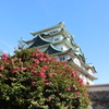 名古屋城②
