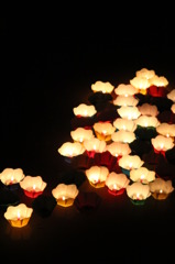 ベトナム_ホイアン日本祭りの灯篭流し