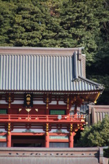 鶴岡八幡宮