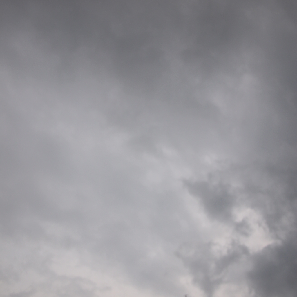 台風１５号