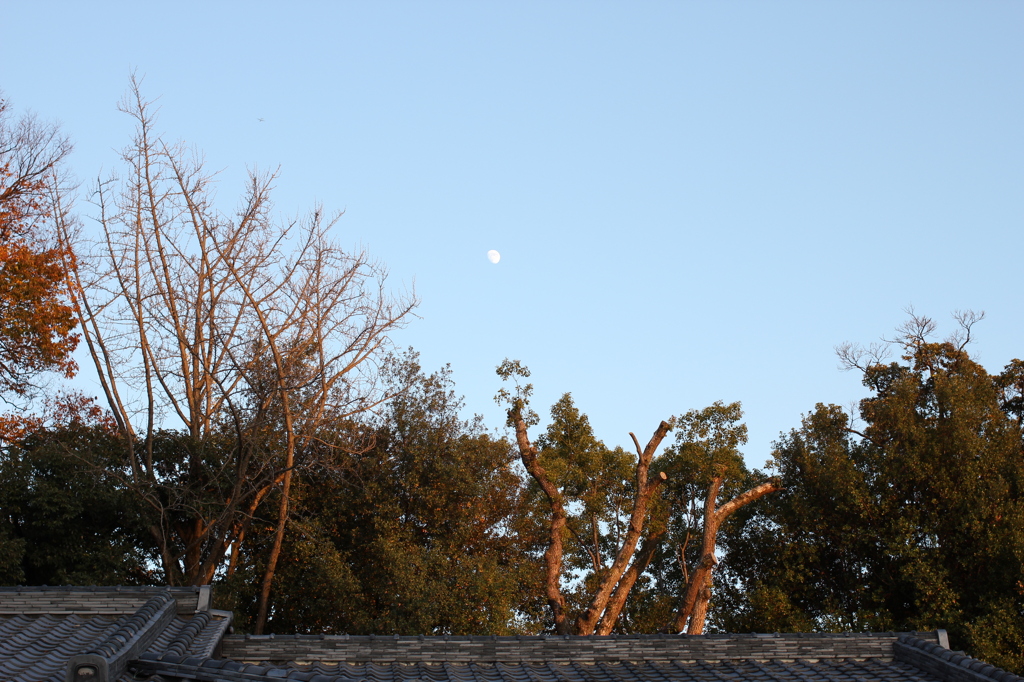 屋根と月