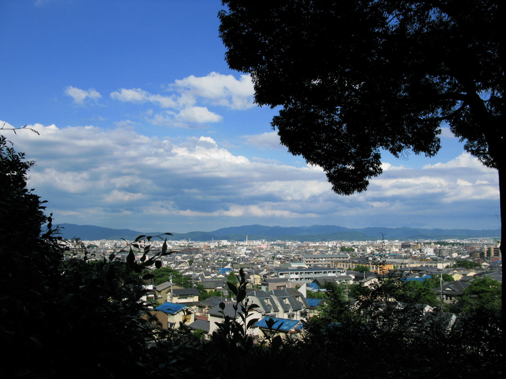 京都市内