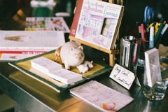 Only Cash No Credit Card