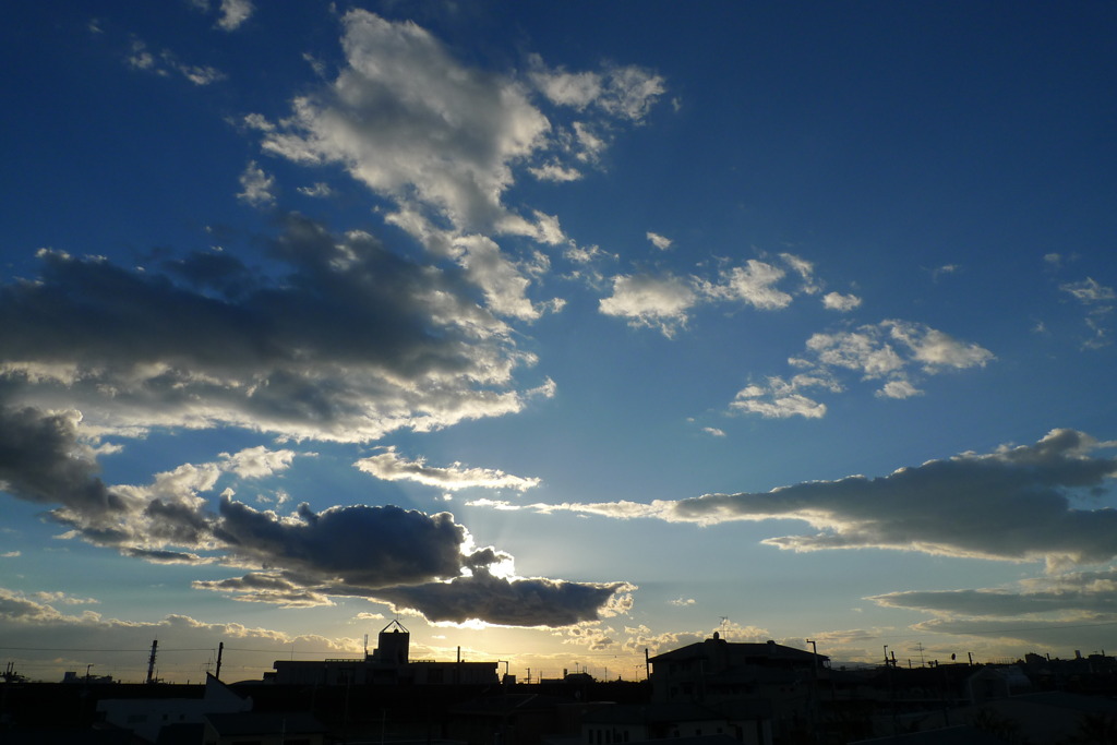 冬の空