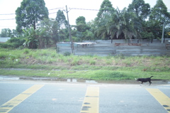 東南アジアの車窓から