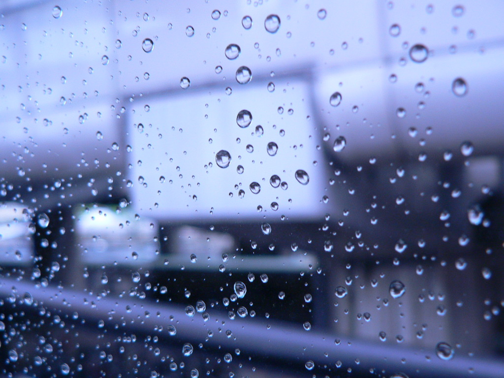 雨の朝