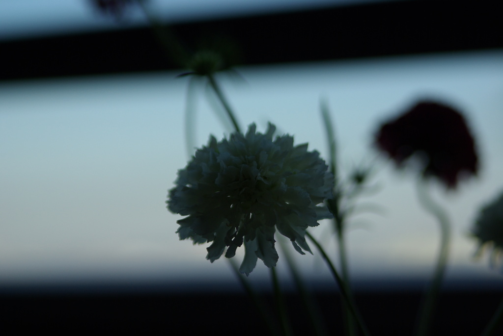 大気圏のような