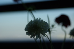 大気圏のような