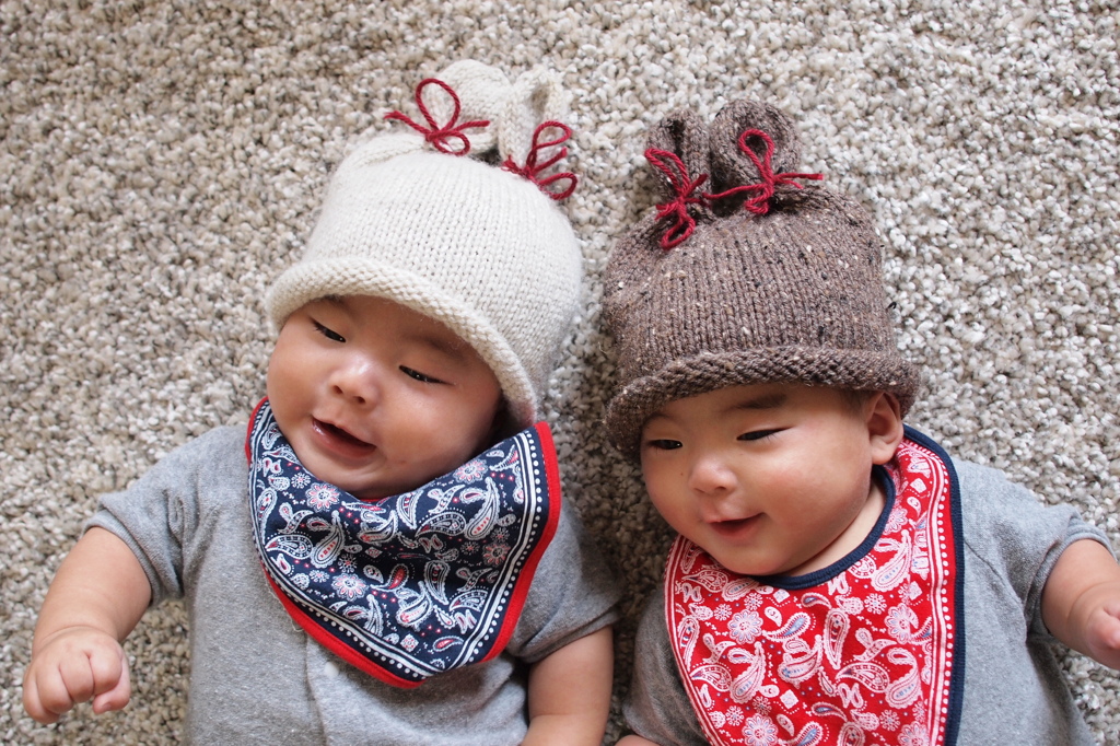 白うさぎ茶うさぎ