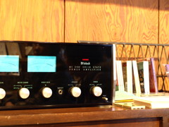 Mcintosh