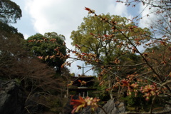 石山寺