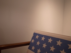 アメリカン
