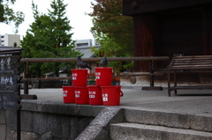 鳩と防火バケツ