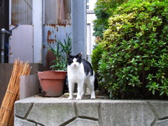 どうも