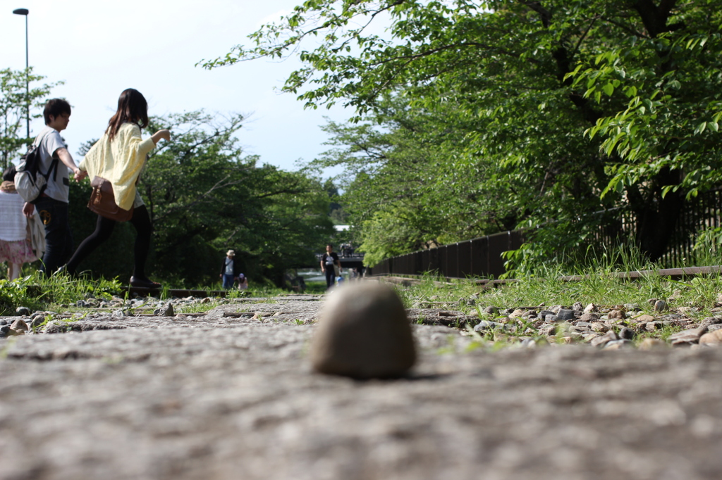 カップルを見守る小石