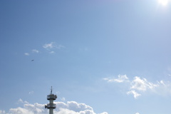 塔と鳥と空