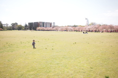 万博公園にて
