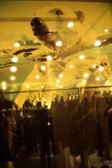 ショーウィンドーの白熊