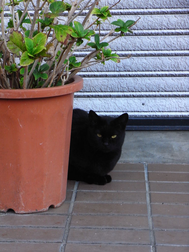 少し寒くなってきた。。