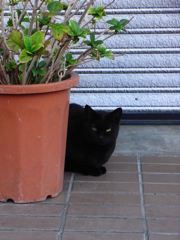 少し寒くなってきた。。