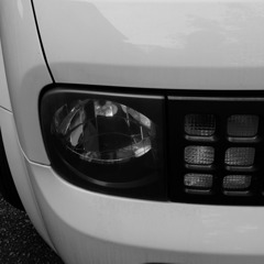 うちのキュー太郎