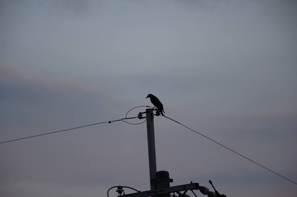 １日がまた終わる