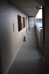 アクセントカラー