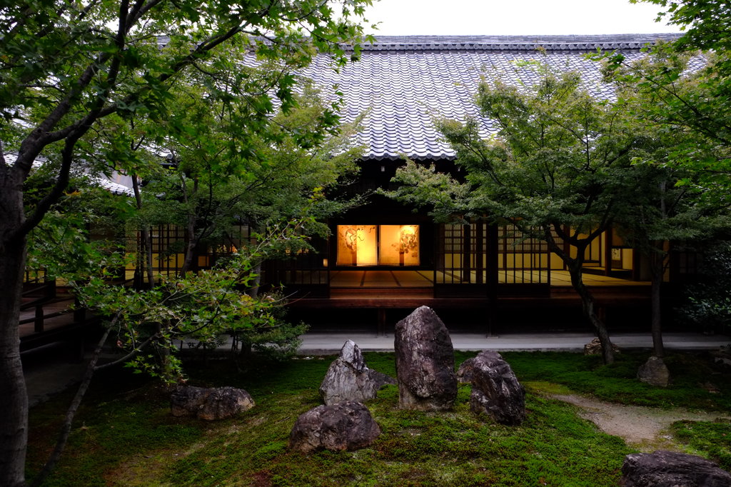 建仁寺のお庭から