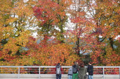 紅葉と女子会