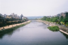 ５月の鴨川