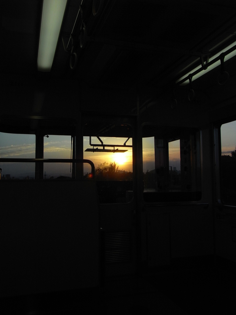 日が出てきたね。。