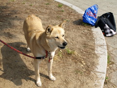 なんじゃコラ！！