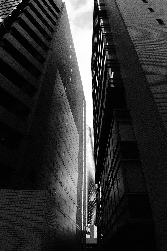 P1010521