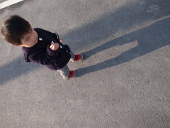 考察