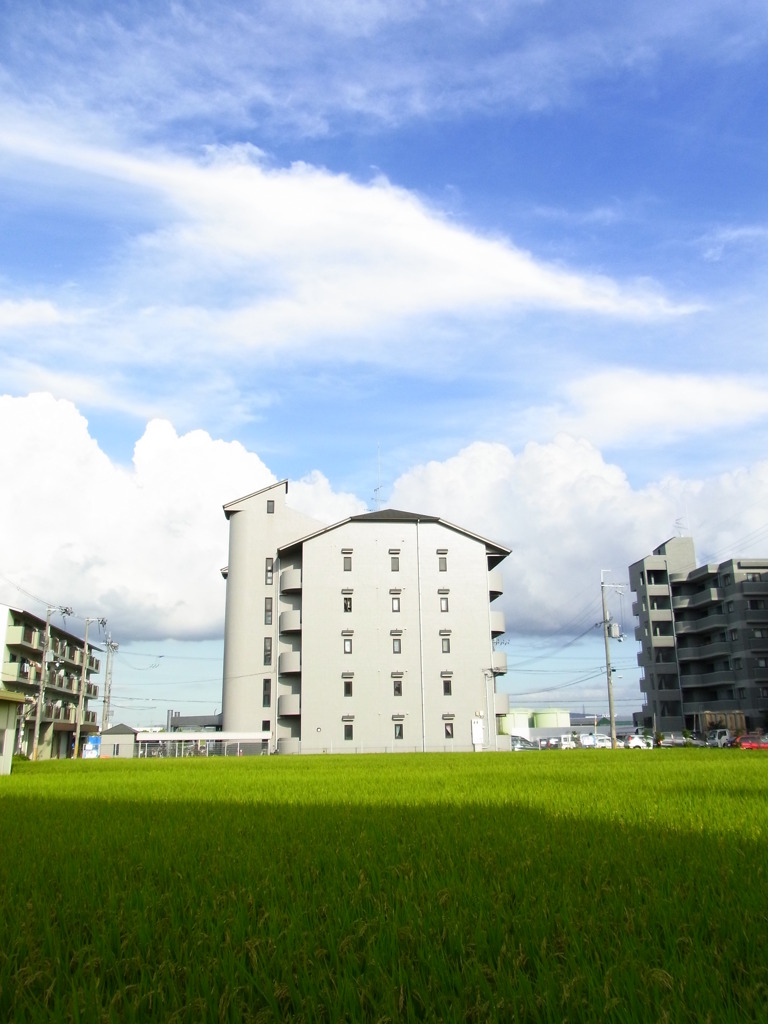 近所のマンション