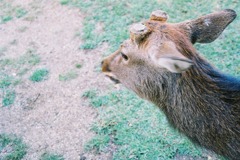 目線の向こうに？！